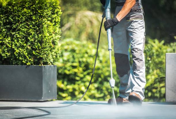 Best Pool Deck Cleaning  in Forreston, IL