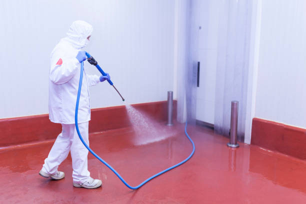 Best Machinery and Equipment Cleaning  in Forreston, IL