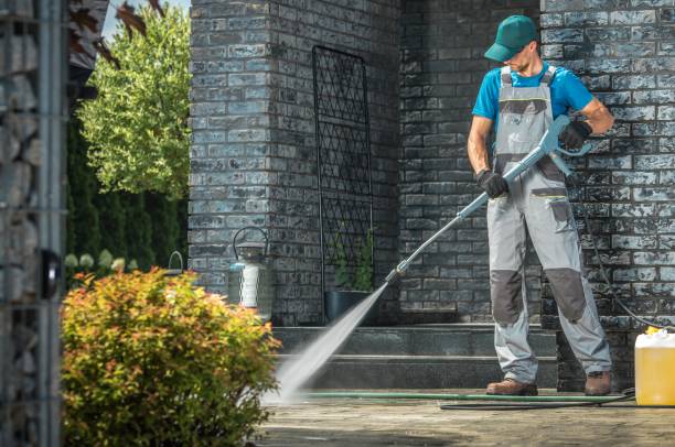 Boat and Dock Cleaning in Forreston, IL