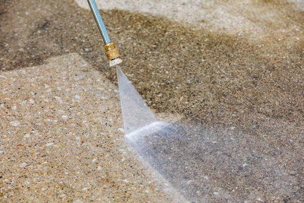 Best Dumpster Area Cleaning  in Forreston, IL