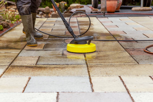 Best Gutter Cleaning  in Forreston, IL